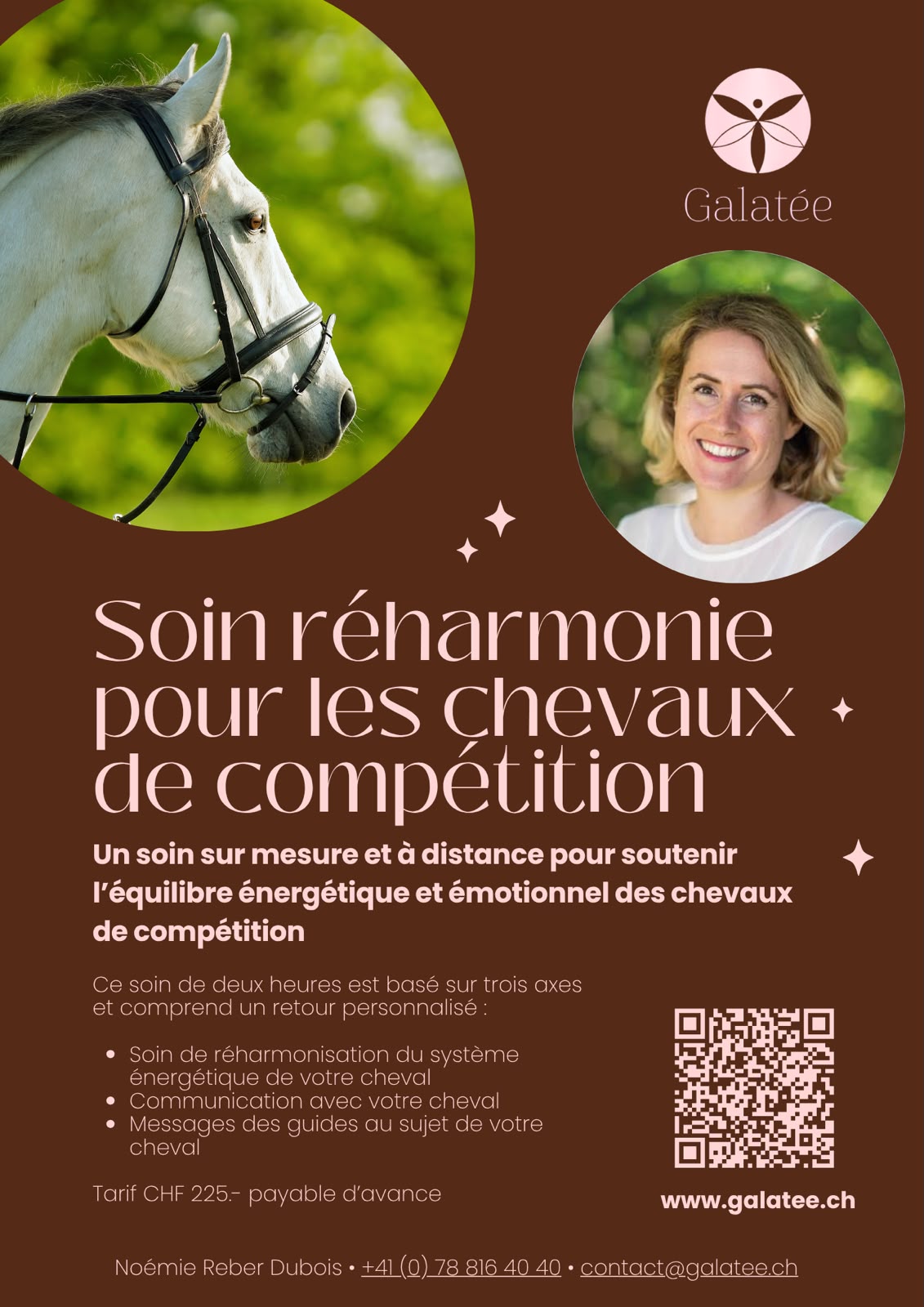 Soin réharmonie pour les chevaux de compétition